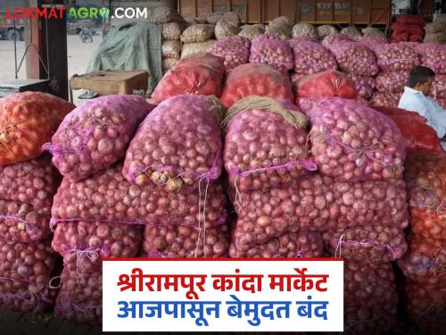 The issue of farmers' agitation against the attackers is on the agenda; Shrirampur onion market also closed from today | शेतकऱ्यांच्या अडवणुकीसाठी हमालांच्या वाराईचा मुद्दा ऐरणीवर; श्रीरामपूर कांदा मार्केट देखील आजपासून बंद