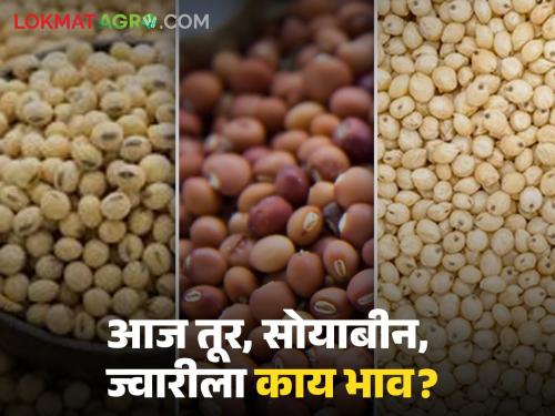 Latest News Todays Tur, soyabeans, sorghum market price in market yards Know in detail | Tur, Soyabean Market : आज तूर, सोयाबीन, ज्वारीला काय बाजारभाव मिळाला? जाणून घ्या सविस्तर