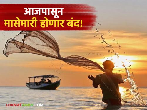 Fishing in the state will be closed for two months from today due to 'this' reason; Read in detail | 'या' कारणाने राज्यातील मासेमारी आजपासून दोन महिन्यांसाठी होणार बंद; वाचा सविस्तर