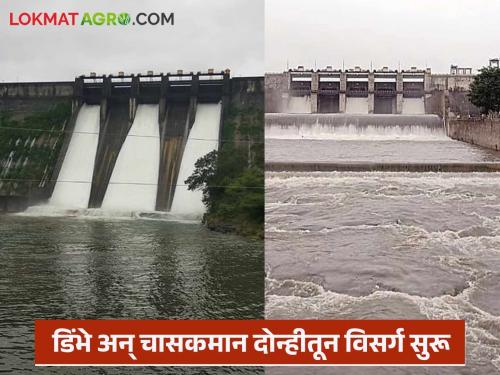 Two thousand cusecs of water released from Dimbhe Dam; Five gates of Chaskaman Dam also opened | डिंभे धरणातून दोन हजार क्युसेक विसर्ग सुरू; चासकमान धरणाचे देखील पाच दरवाजे उघडले
