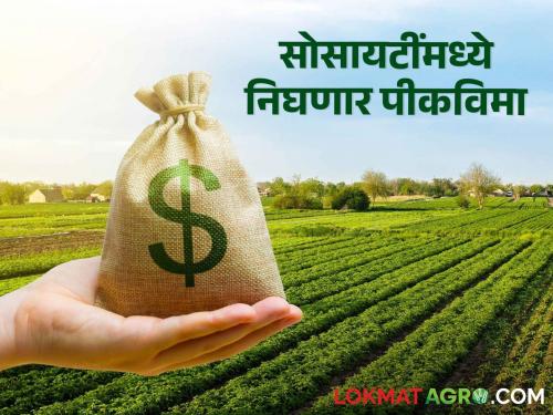 Crop Insurance Computerized societies can take out crop insurance for farmers | Crop Insurance संगणकीकरणाने सोसायट्यांना काढता येणार शेतकऱ्यांचा पीकविमा