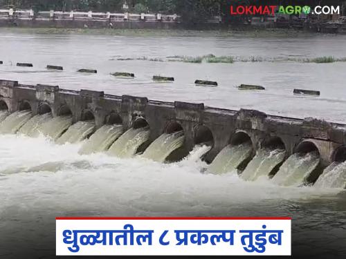 8 out of 12 projects in Dhule have collapsed; Water discharge continues into the Panjra river basin | धुळ्यातील १२ पैकी ८ प्रकल्प झालेत तुडुंब; पांझरा नदीपात्रात पाण्याचा विसर्ग सुरूच
