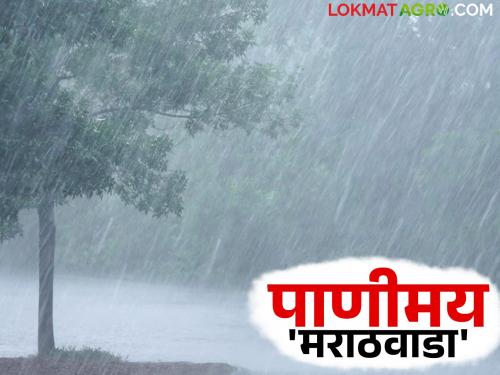 Marathwada has recorded 193.4 mm of rainfall so far; The highest rainfall is in this district | मराठवाड्यात आतापर्यंत १९३.४ मिमी पावसाची नोंद; सर्वाधिक पाऊस 'या' जिल्ह्यात