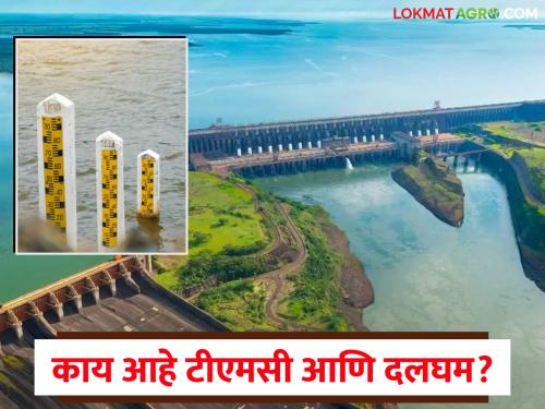 Know the simple meaning of the words TMC, Dalgham in the context of dam storage | जाणून घ्या धरणसाठा संदर्भातील टीएमसी, दलघम या शब्दांचा सोप्या भाषेतील अर्थ