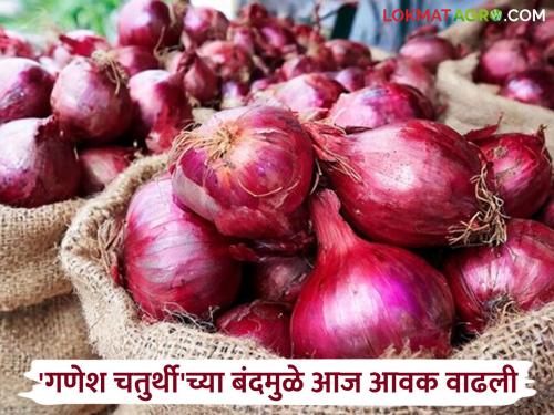More than one lakh quintals of summer onion arrived in the state today; Read what is the price being obtained | राज्यात आज एक लाख क्विंटलपेक्षा अधिक उन्हाळ कांद्याची आवक; वाचा काय मिळतोय दर