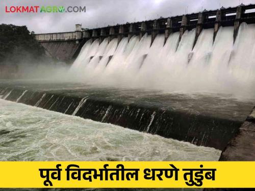 Latest News Dams in East Vidarbha at 100 percent see totaladoh and pench dam storage | Vidarbha Dam Storage : पूर्व विदर्भातील धरणे भरली तुडुंब, तोतलाडोह, पेंच धोक्याच्या पातळीकडे 