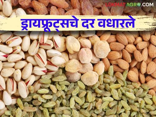 Dry Fruits Market: Demand for Gum Ladoo increased; Jaggery, fenugreek prices increased in the market along with dry fruits | Dry Fruits Market : डिंकाच्या लाडूची मागणी वाढली; बाजारात ड्रायफ्रूट सह गुळ, मेथी दर वधारले