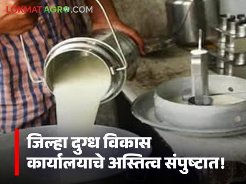 Now the state's milk institutions will rely on certified auditors; 16 thousand institutions are responsible for only 17 officials | आता प्रमाणित लेखापरीक्षकांवर राहणार राज्यातील दूध संस्थांचा भरोसा; १६ हजार संस्थांची केवळ १७ अधिकाऱ्यांवर जबाबदारी