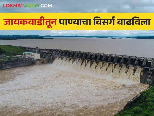 Jayakwadi Dam Water Release Update : Jayakwadi filled; After opening 12 gates, discharge of 6 thousand 888 cusecs started | Jayakwadi Dam Water Release Update : जायकवाडी भरले; १२ दरवाजे उघडून ६ हजार ८८८ क्युसेकने विसर्ग सुरू