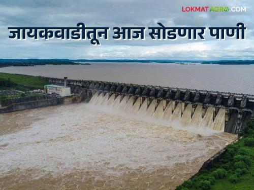 Jayakwadi Dam Water Release Update : Jayakwadi 96 percent; As the inflow continues, water will be released from the dam today | Jayakwadi Dam Water Release Update : जायकवाडी ९६ टक्के; आवक सुरूच असल्याने धरणातून आज सोडणार पाणी