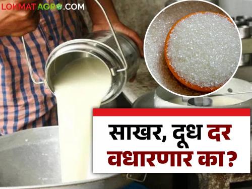Will the war affect sugar and milk exports? What is the situation in the market; Read the experts' opinion | युद्धामुळे साखर, दूध निर्यातीवर होणार का परिणाम? बाजारपेठेत काय स्थिती; वाचा तज्ञांचे मत