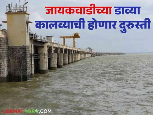 Jayakwadi Dam: 700 crore funds will be available for repairing the left canal of Jayakwadi Dam | Jayakwadi Dam : जायकवाडी धरणाच्या डाव्या कालव्याच्या दुरुस्तीसाठी मिळणार ७०० कोटींचा निधी