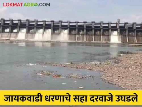 Jayakwadi Water Release : Six gates of Jayakwadi dam opened; 3144 cusec water discharge started | Jayakwadi Water Release : जायकवाडी धरणाचे सहा दरवाजे उघडले; ३१४४ क्युसेक पाण्याचा विसर्ग सुरू