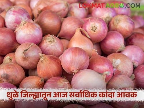 Less arrivals from Nashik, highest arrivals from Dhule in summer market today; Read what is the price being offered | नाशिक मधून आवक कमी तर धुळे येथून आज सर्वाधिक उन्हाळ बाजारात; वाचा काय मिळतोय दर