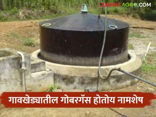 Gobargas : result of decline in livestock; Disregarding dung gas, citizens tend towards modern gas | Gobargas : पशुधनात घट झाल्याचा परिणाम; गोबर गॅसकडे दुर्लक्ष करत नागरिकांचा आधुनिक गॅसकडे कल