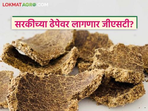 Oil producers demand 5 percent GST on sugarcane; Revenue Minister | सरकीच्या ढेपेवर ५ टक्के जीएसटी लावा; तेल उत्पादकांची महसूल मंत्र्यांकडे मागणी