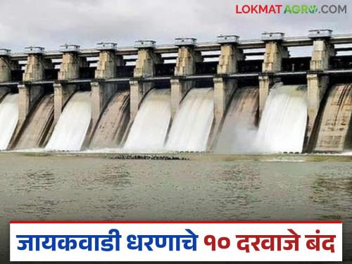 10 gates of Jayakwadi Dam have been closed; currently 4,192 cusecs of discharge is being released through eight gates | जायकवाडी धरणाचे १० दरवाजे करण्यात आले बंद; सध्या आठ दरवाज्यातून सुरू आहे चार हजार १९२ क्युसेक विसर्ग