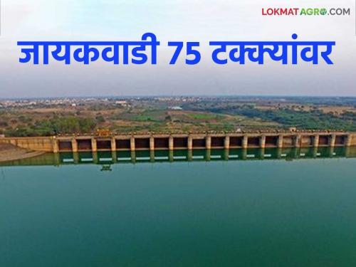 Water inflow slows down as rains stop in Nashik district; Jayakwadi at 75 percent | नाशिक जिल्ह्यातील पाऊस बंद झाल्याने पाण्याची आवक मंदावली; जायकवाडी ७५ टक्क्यांवर