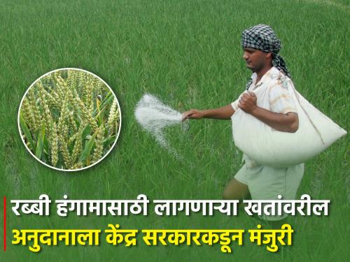 Central government announced subsidy on fertilizers for Rabi season 2023 | रब्बी हंगामासाठी लागणाऱ्या खतांवरील अनुदानाला केंद्र सरकारकडून मंजुरी