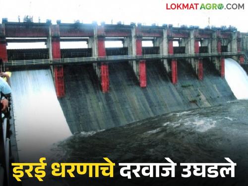 Water level of Irai Dam increased; two gates opened | इरई धरणाची जलपातळी वाढली; दोन दरवाजे उघडले