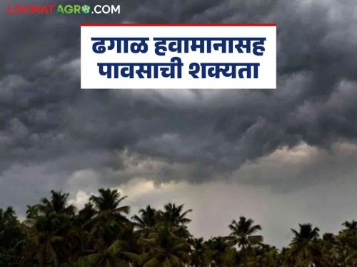 Rain Alert: Chance of rain in the next three days; Alert issued for 'these' districts | Rain Alert : पुढील तीन दिवसांत पावसाची शक्यता; 'या' जिल्ह्यांना सतर्कतेचा इशारा