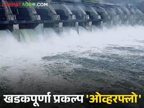 Khadakpurna project 'overflow' 19 gates opened; Alert issued to 33 villages along Khadakpurna river | खडकपूर्णा प्रकल्प 'ओव्हरफ्लो' १९ दरवाजे उघडले; खडकपूर्णा नदी काठच्या ३३ गावांना सतर्कतेचा इशारा