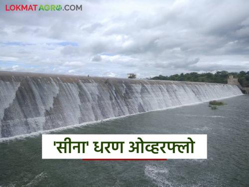 Sina Dam filled in June for the first time in 40 years; Water started flowing from the spillway | ४० वर्षांत प्रथमच जूनमध्ये भरले सीना धरण; सांडव्यावरून वाहू लागले पाणी