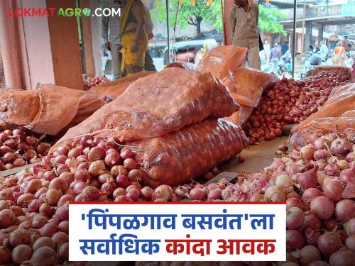 Summer is in Pimpalgaon Baswant Bazaar, while the highest arrival of red onions is in Solapur; Read today's onion market price | पिंपळगाव बसवंत बाजारात उन्हाळ तर सोलापुरात लाल कांद्याची सर्वाधिक आवक; वाचा आजचे कांदा बाजारभाव
