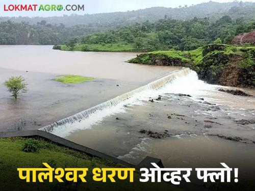 Paleshwar Dam in Shahuwadi overflows; Water is being released from the dam's spillway | शाहूवाडीतील पालेश्वर धरण झाले ओव्हर फ्लो; धरणांच्या सांडव्यातून पाण्याचा विसर्ग