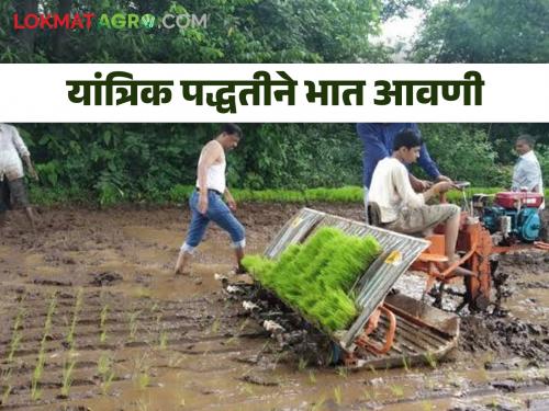 Latest News Paddy Cultivation Rice planting machine that saves labor cost and time, know in detail  | Rice Planter : मजुरीचा खर्च आणि वेळेची बचत करणारे भात रोवणी यंत्र, जाणून घ्या सविस्तर 