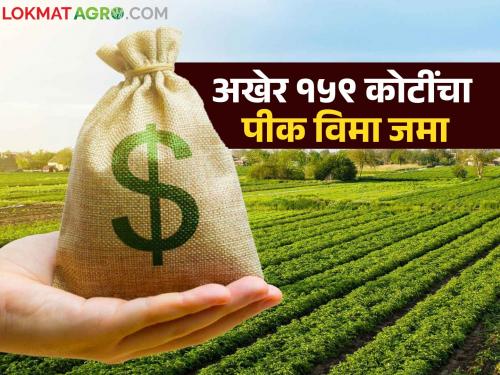 'This' district in the state got crop insurance of Rs 159 crore for Kharif; Read in detail | राज्यातील 'या' जिल्ह्याला मिळाला खरिपाचा १५९ कोटींचा पीक विमा; वाचा सविस्तर
