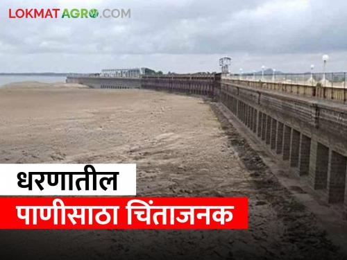 Dam Water: There is so much water left in important dams in Pune, Nashik, Nagar, Marathwada.. | Dam Water: पुणे, नाशिक, नगर, मराठवाड्यातील महत्वाच्या धरणांमध्ये एवढं पाणी राहिलेय शिल्लक..