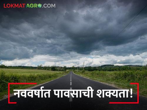 Weather: Meteorological department predicts the chance of rain in the new year, what is the forecast? | Weather:नवीन वर्षात हवामान विभागाने वर्तवली पावसाची शक्यता, काय आहे अंदाज?