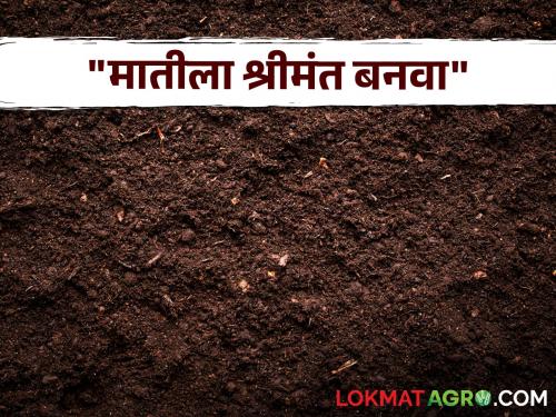 Soil Health jalgaon farmer Vishwasrao Patil who gives the message "Make the soil rich, it will make you rich". | Soil Health : "मातीला श्रीमंत बनवा, ती तुम्हाला श्रीमंत बनवेल" असा संदेश देणारे विश्वासराव पाटील