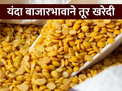 Tur will be purchased at market price and not at guaranteed price, farmers will benefit. | हमीभावात नव्हे, बाजारभावात होणार तूर खरेदी, शेतकऱ्यांना होणार फायदा..