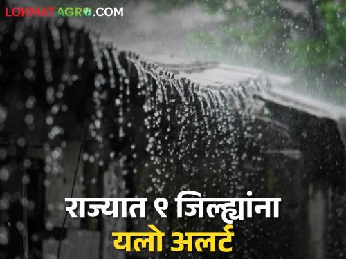 IMD Weather Update: Thunderstorm warning in 4 districts of East Vidarbha, heat wave alert in 5 districts | IMD Weather Update: पूर्व विदर्भातील ४ जिल्ह्यात वादळी पावसासचा इशारा, ५ जिल्ह्यांना उष्णतेच्या लाटांचा अलर्ट