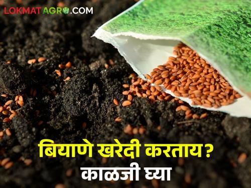 Seed For Cultivation: What should farmers be careful about while buying seeds for kharif sowing? | Seed For Cultivation : खरीप पेरणीसाठी बियाणे खरेदी करताना शेतकऱ्यांनी काय काळजी घ्यावी?