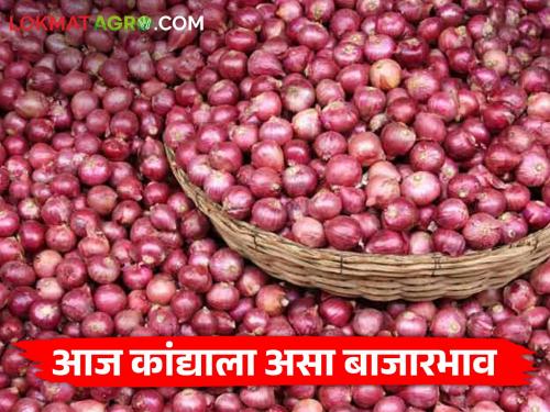 Onion Market today: 1 lakh 10,124 quintals of onion arrival in the state, what is the market price? | Onion Market today: राज्यात १ लाख़ १०,१२४ क्विंटल कांद्याची आवक, काय मिळतोय बाजारभाव?