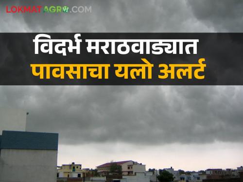 Maharashtra Rain Alert: Yellow alert for 13 districts in Vidarbha-Marathwada, next 3 days.... | Maharashtra Rain Alert: विदर्भ- मराठवाड्यात १३ जिल्ह्यांना यलो अलर्ट, पुढील ३ दिवस ....