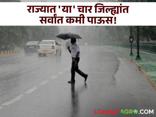 Rain Updates: Rain everywhere in the state, but 'these' four districts are raining! What is the status of monsoon? | Rain Updates : राज्यात सर्वदूर पाऊस पण 'या' चार जिल्ह्यांत पावसाची दांडी!