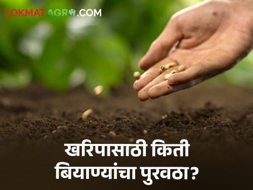 Kharip Season monsoon rain seeds supplied for Kharip so far How is the planning | Kharip Season : खरिपासाठी आत्तापर्यंत किती बियाणांचा झालाय पुरवठा? कसे आहे नियोजन?