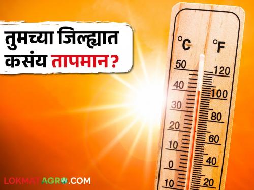 Temperature today: How will the temperature be in the state today? Know what is happening in your district Naend | Temperature today: आज राज्यात कसे राहणार तापमान? जाणून घ्या तुमच्या जिल्ह्यात काय होतेय नाेंद