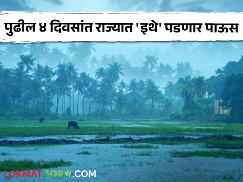 Maharashtra Rain: Despite the return of monsoon, it is raining in many places in the state! What are weather warnings? | Maharashtra Rain : मान्सून परतला तरीही राज्यात ठिकठिकाणी पडतोय पाऊस! काय आहेत हवामानाचे इशारे?