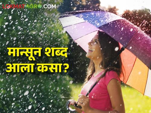 How did the word monsoon come? Did you know these things about Southwest Monsoon? | मान्सून शब्द आला कसा? नैऋत्य मोसमी पावसाबद्दल या गोष्टी तुम्हाला माहित आहेत का?