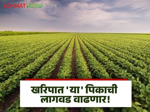 This year the cultivation of 'this' crop will increase in Kharipat! How many crops will be sown? | Kharip Season : यंदा खरिपात 'या' पिकाची लागवड वाढणार! कोणत्या पिकांचा किती असेल पेरा?