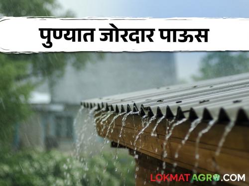 Pune heavy Rain Water on the road monsoon farmer crop kharip season | Pune Rain : पुण्यात पावसाचा कहर! रस्त्यावर साचले कंबरेएवढे पाणी