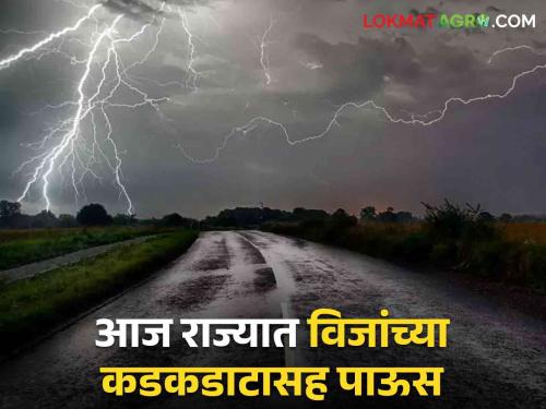 Maharashtra Rain Updates Red alert in two districts today What are the weather department warnings | Maharashtra Rain Updates : आज दोन जिल्ह्यांत रेड अलर्ट! काय आहेत हवामान विभागाचे इशारे?