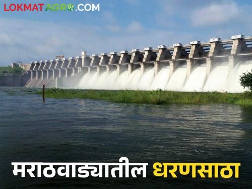Now only 20.55 percent dam storage in Marathwada, how many TMC in which dam including Jayakwadi? | मराठवाड्यात आता केवळ २०.५५ टक्के धरणसाठा, जायकवाडीसह कोणत्या धरणात किती टीएमसी?