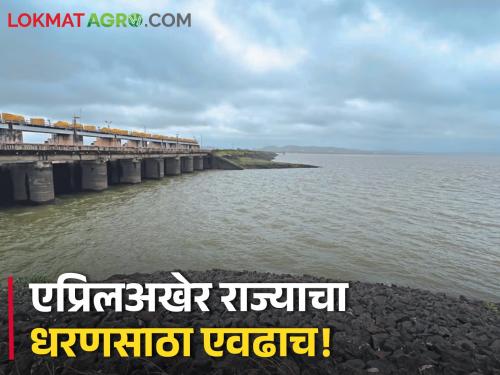 At the end of April, there is only so much water left in the dams of the state, read the dam storage in your region | Dam Storage:एप्रिलअखेर राज्यातील धरणांमध्ये उरलंय एवढच पाणी, वाचा तुमच्या विभागातील धरणसाठा