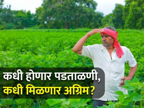 Even though the season has passed, why are the proposals for crop insurance advances stalled? | हंगाम उलटला तरी पीक विम्याच्या अग्रिमचे प्रस्ताव का रखडलेत?